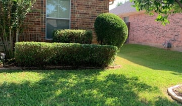 1 Mansfield Tx Lawn Care Service Lawn Mowing From 19 Best 2021