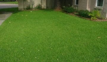 1 Matthews Nc Lawn Care Service Lawn Mowing From 19 Best 21