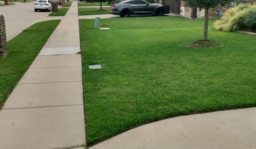 Mcallen Tx Lawn Care Service Lawn Mowing From 19 Lawnstarter