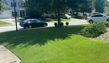 1 Mount Prospect Il Lawn Care Service Lawn Mowing From 19 Best 2021