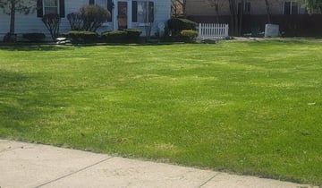 Mount Vernon NY Lawn Care Lawn Mowing from $19 LawnStarter