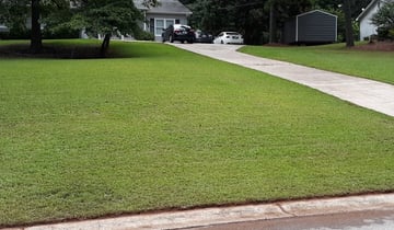 Mountain View Ca Lawn Care Service Lawn Mowing From 19 Rated Best 2021