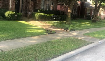 New Albany Oh Lawn Care Service Lawn Mowing From 19 Lawnstarter