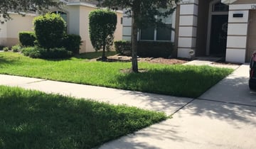 North Wales Pa Lawn Care Service Lawn Mowing From 19 Rated Best 2021