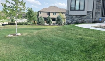 Omaha Ne Lawn Care Service Lawn Mowing From 19 Lawnstarter