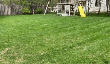 Orlando Fl Landscaping From 29 1 Landscapers Best Of 2021