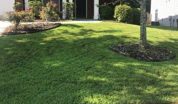 Phillipsburg Nj Lawn Care Service, Lawn And Landscape Works Emmaus Pa