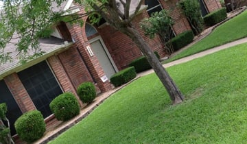Pittsburgh Pa Lawn Care Lawn Mowing From 19 Lawnstarter