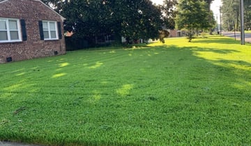 1 Portsmouth Va Lawn Care Service Lawn Mowing From 19 Best 2021