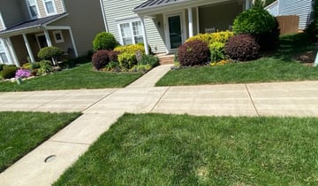 Providence lawn and landscape