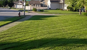 Pueblo, CO Landscaping from $29 | #1 Landscapers | Best of ...