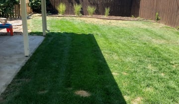 Renton Wa Lawn Care Service Lawn Mowing From 19 Rated Best 21