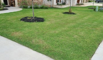 Riverview Fl Lawn Care Service, Solid Ground Landscaping Brandon Ms
