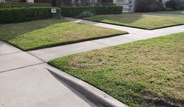 Rochester Ny Lawn Care Service Lawn Mowing From 19 Lawnstarter