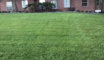 Rochester Ny Lawn Care Service Lawn Mowing From 19 Lawnstarter
