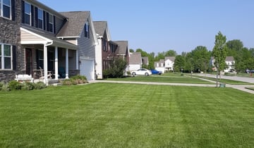 1 Rosenberg Tx Lawn Care Service Lawn Mowing From 19 Best 2021