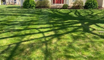 1 Sacramento Ca Lawn Care Service Lawn Mowing From 19 Best 2021