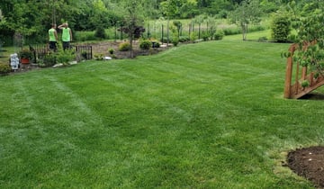 1 Saint Cloud Fl Lawn Care Service Lawn Mowing From 19 Best 2021