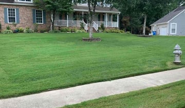 Saint Cloud, Fl Lawn Care Service | Lawn Mowing From $19 | Best Of 2023