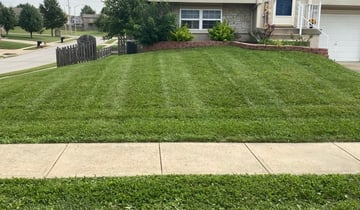 1 Saint Cloud Fl Lawn Care Service Lawn Mowing From 19 Best 2021