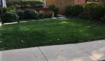 1 Salt Lake City Ut Lawn Care Service Lawn Mowing From 19 Best 2021
