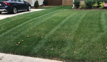 San Antonio Tx Landscaping From 29 1 Landscapers Best Of 21