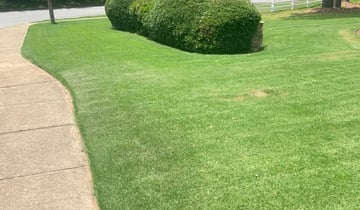 The 1 Lawn Care Service In Smyrna Ga, Unlimited Landscaping 038 Lawn Care Services Buford Ga 30518