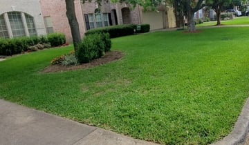 #1 Somerville, TN Lawn Care Service | Lawn Mowing from $19 | Best 2021