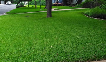 1 Spotsylvania Va Lawn Care Service Lawn Mowing From 19 Best 21