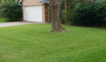 Spring Hill Tn Lawn Care Lawn Mowing From 19 Lawnstarter