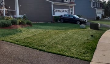 Daniel C.'s lawn in Statesville, NC