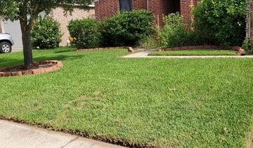 1 Takoma Park Md Lawn Care Service Lawn Mowing From 19 Best 2021