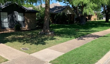 1 Temple Hills Md Lawn Care Service Lawn Mowing From 19 Best 2021