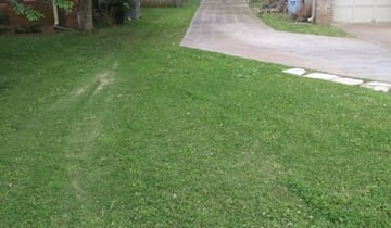 Tucson Az Landscaping From 29 1 Landscapers Best Of 2021