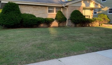 1 Valencia, CA Lawn Care Service