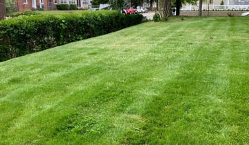 Vero Beach, FL Landscaping from $29 | #1 Landscapers ...