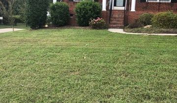 1 Waxhaw Nc Lawn Care Service Lawn Mowing From 19 Best 2021