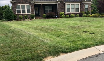 1 Westport Ma Lawn Care Service Lawn Mowing From 19 Best 2021