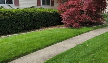 25 Best Landscapers in Wilmington, NC | Landscaping from $29 | Best of 2023