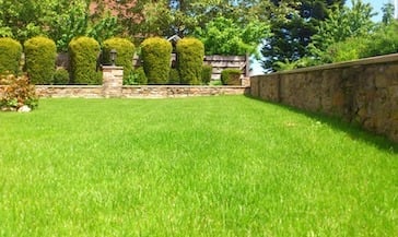 Find The Best Landscaping Providers Near You