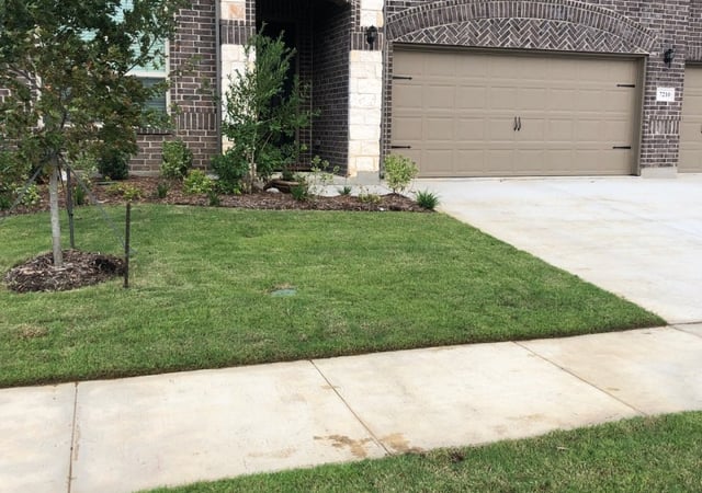 Arlington Tx Lawn Care Service Lawn Mowing From 19 Rated Best 2021
