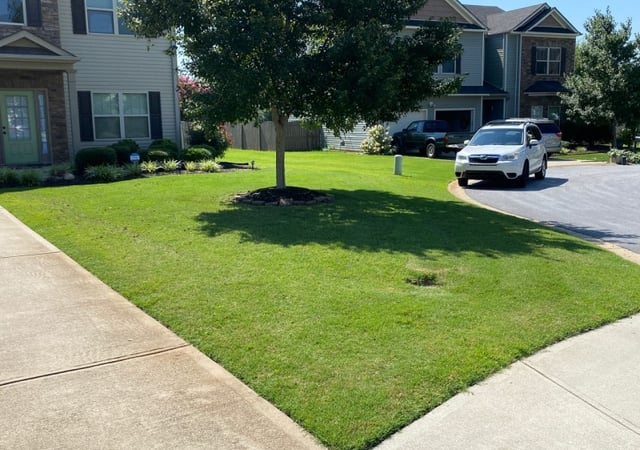 Baton Rouge La Lawn Care Service, Cutting Edge Lawn & Landscape