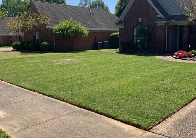 The 1 Lawn Care Service in Dallas - Dallas Tx Lawn Care 397612
