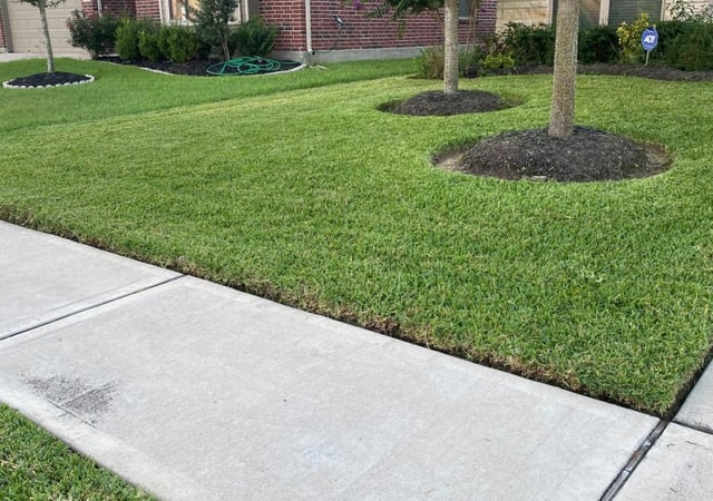 Jacksonville Fl Lawn Care Service, Professional Landscaping Services Anderson Institute