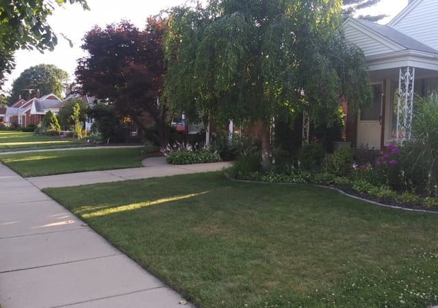 who did it lawn care