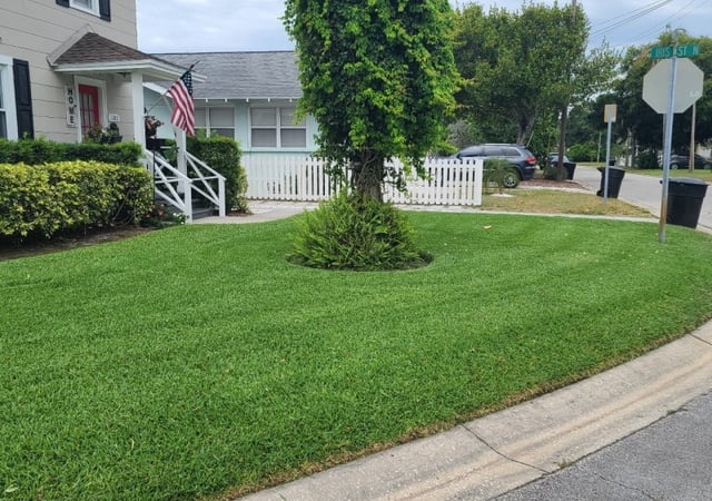 Oviedo Fl Lawn Care Service Lawn Mowing From 19 Lawnstarter