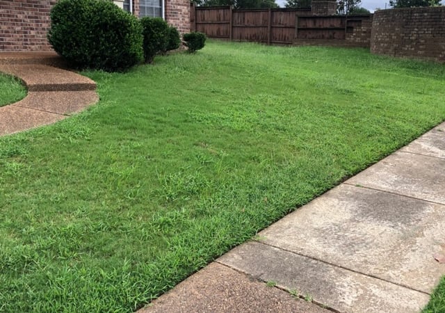 The 1 Lawn Care Service In Raleigh Nc, Hartgrove Landscaping King Ncu