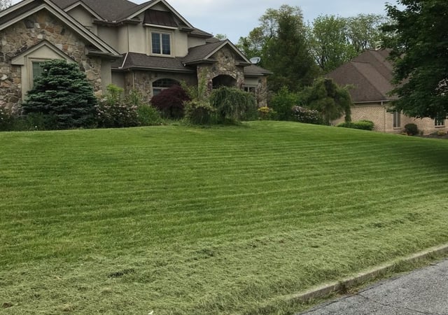 1 San Antonio Tx Lawn Care Service Lawn Mowing From 19 Best 2021