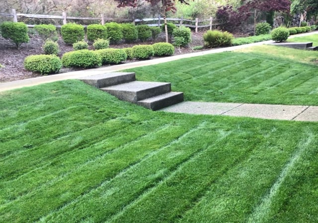 The 1 Lawn Care Service In San Jose, Clover Lawn And Landscape Rochester Ny