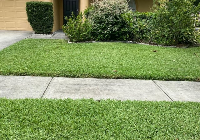 The 1 Lawn Care Service In Seattle Wa, West Edge Landscaping Seattle